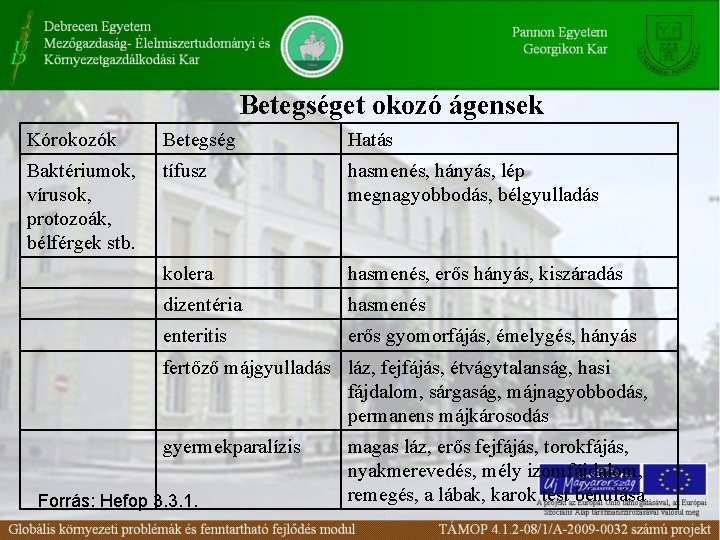 Betegséget okozó ágensek Kórokozók Betegség Hatás Baktériumok, vírusok, protozoák, bélférgek stb. tífusz hasmenés, hányás,