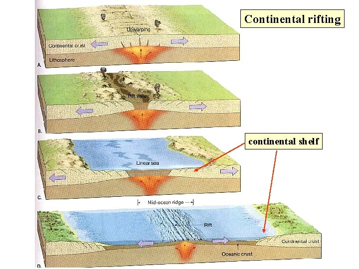 Continental rifting continental shelf 