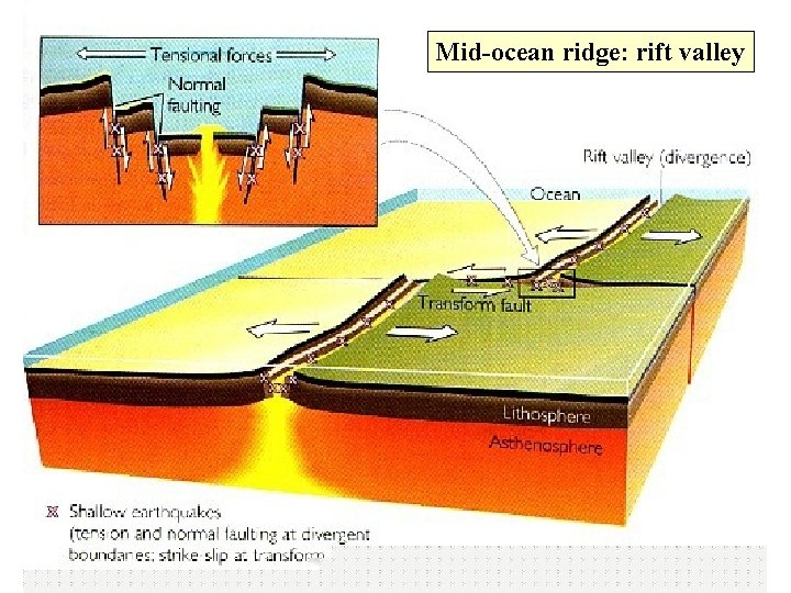 Mid-ocean ridge: rift valley 
