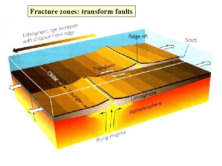 Fracture zones: transform faults 