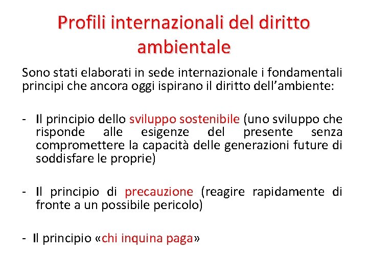 Profili internazionali del diritto ambientale Sono stati elaborati in sede internazionale i fondamentali principi