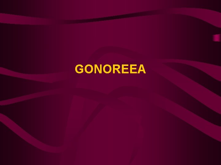 GONOREEA 