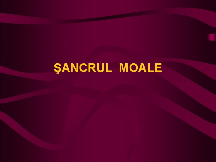 ŞANCRUL MOALE 