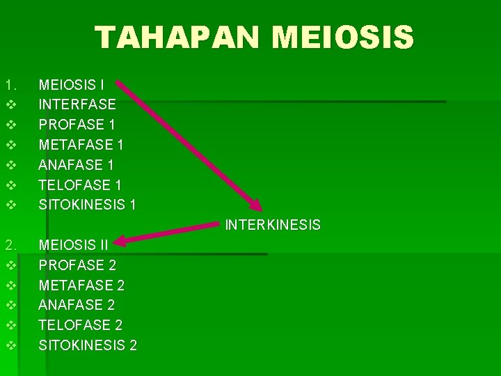 TAHAPAN MEIOSIS 1. v v v MEIOSIS I INTERFASE PROFASE 1 METAFASE 1 ANAFASE