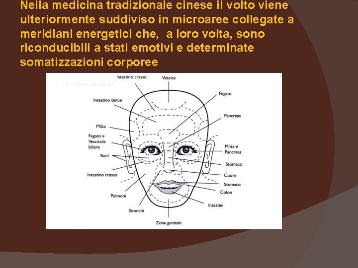 Nella medicina tradizionale cinese il volto viene ulteriormente suddiviso in microaree collegate a meridiani