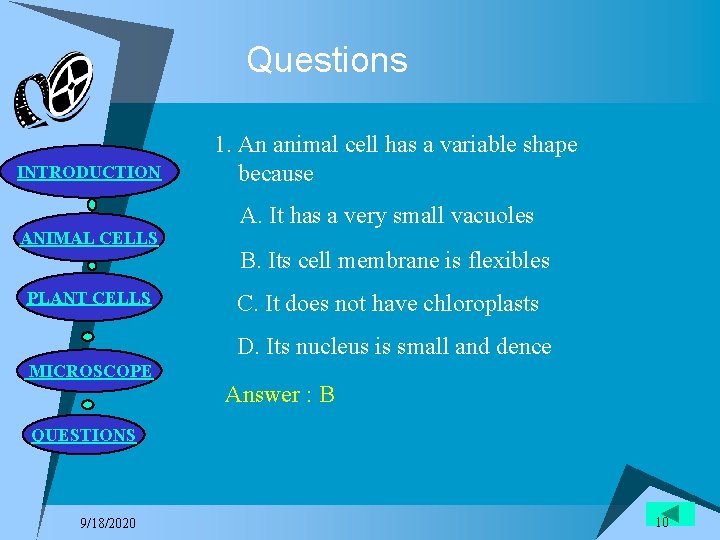 Questions INTRODUCTION ANIMAL CELLS PLANT CELLS 1. An animal cell has a variable shape