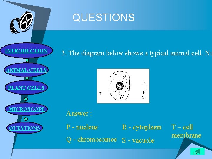 QUESTIONS INTRODUCTION 3. The diagram below shows a typical animal cell. Na ANIMAL CELLS