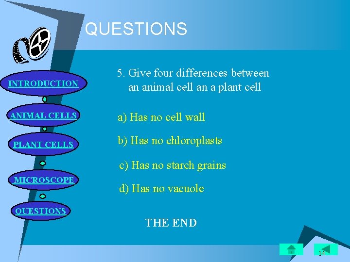 QUESTIONS INTRODUCTION 5. Give four differences between an animal cell an a plant cell