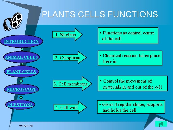 PLANTS CELLS FUNCTIONS 1. Nucleus • Functions as control centre of the cell 2.