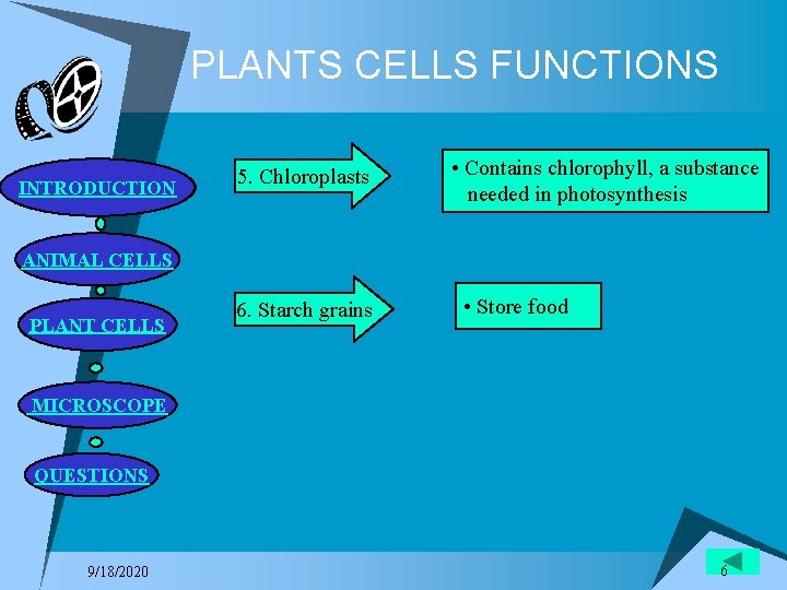 PLANTS CELLS FUNCTIONS INTRODUCTION 5. Chloroplasts • Contains chlorophyll, a substance needed in photosynthesis