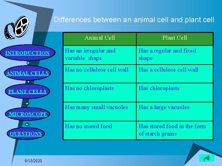 Differences between an animal cell and plant cell Animal Cell INTRODUCTION ANIMAL CELLS PLANT