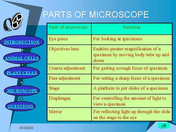 PARTS OF MICROSCOPE Parts of microscope INTRODUCTION Eye piece For looking at specimens Objectives