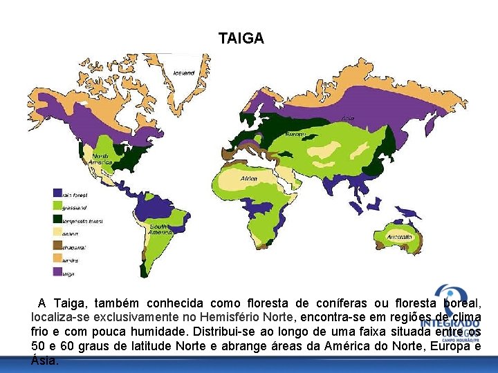 TAIGA A Taiga, também conhecida como floresta de coníferas ou floresta boreal, localiza-se exclusivamente