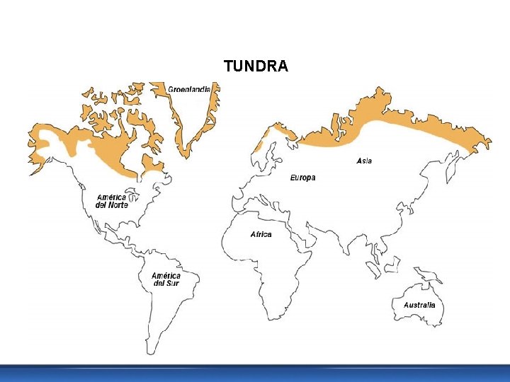 TUNDRA 