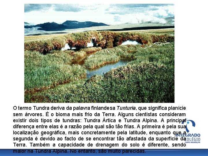 O termo Tundra deriva da palavra finlandesa Tunturia, que significa planície sem árvores. É