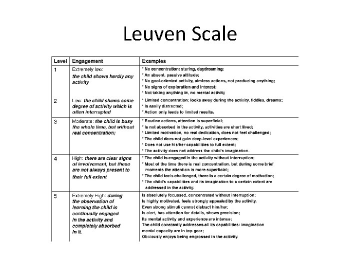 Leuven Scale 