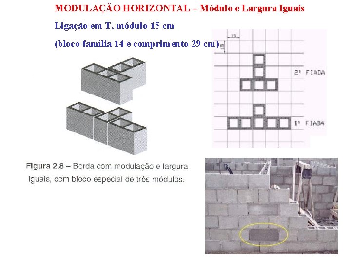 MODULAÇÃO HORIZONTAL – Módulo e Largura Iguais Ligação em T, módulo 15 cm (bloco