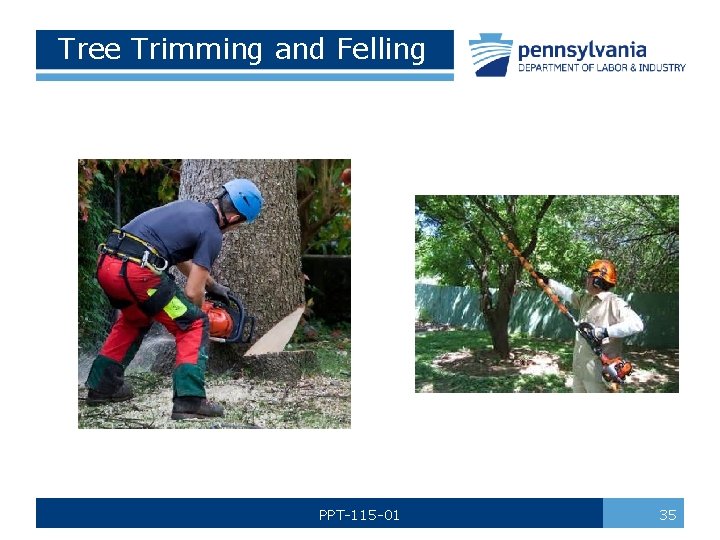 Tree Trimming and Felling PPT-115 -01 35 