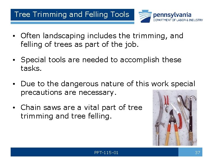 Tree Trimming and Felling Tools • Often landscaping includes the trimming, and felling of