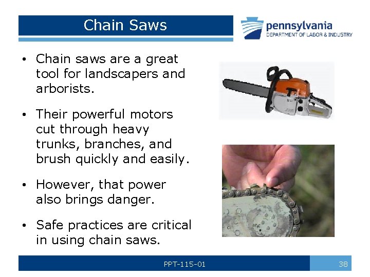 Chain Saws • Chain saws are a great tool for landscapers and arborists. •