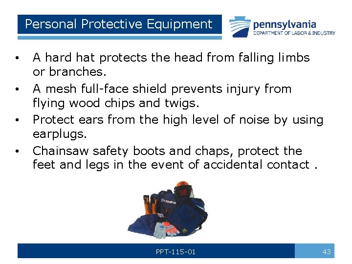 Personal Protective Equipment • • A hard hat protects the head from falling limbs