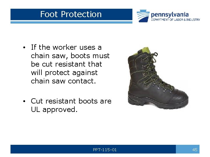 Foot Protection • If the worker uses a chain saw, boots must be cut