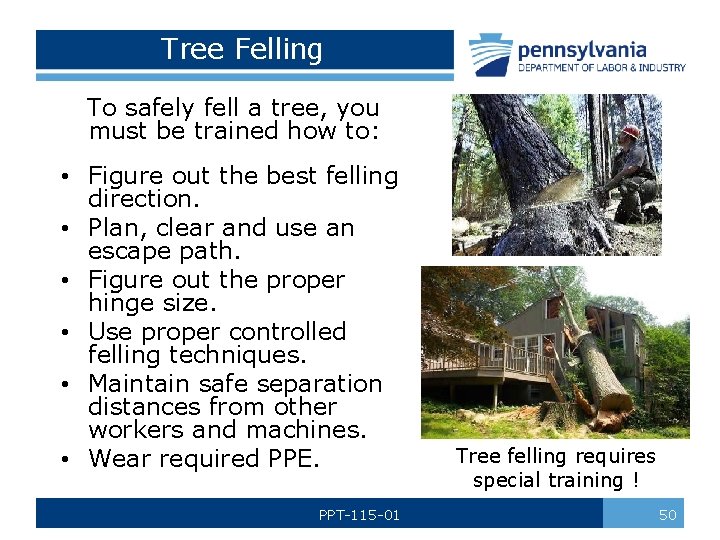 Tree Felling To safely fell a tree, you must be trained how to: •
