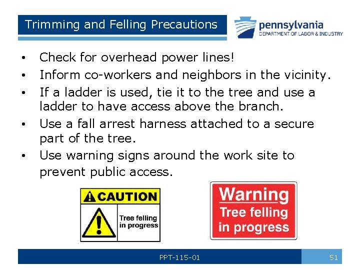 Trimming and Felling Precautions • • • Check for overhead power lines! Inform co-workers