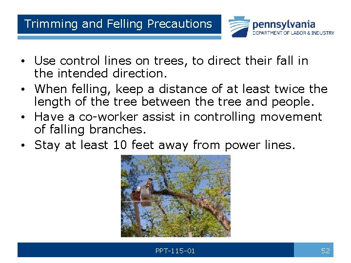 Trimming and Felling Precautions • Use control lines on trees, to direct their fall
