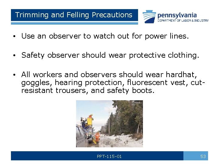 Trimming and Felling Precautions • Use an observer to watch out for power lines.
