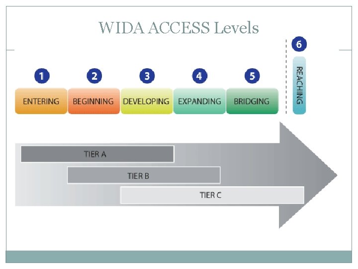 WIDA ACCESS Levels 