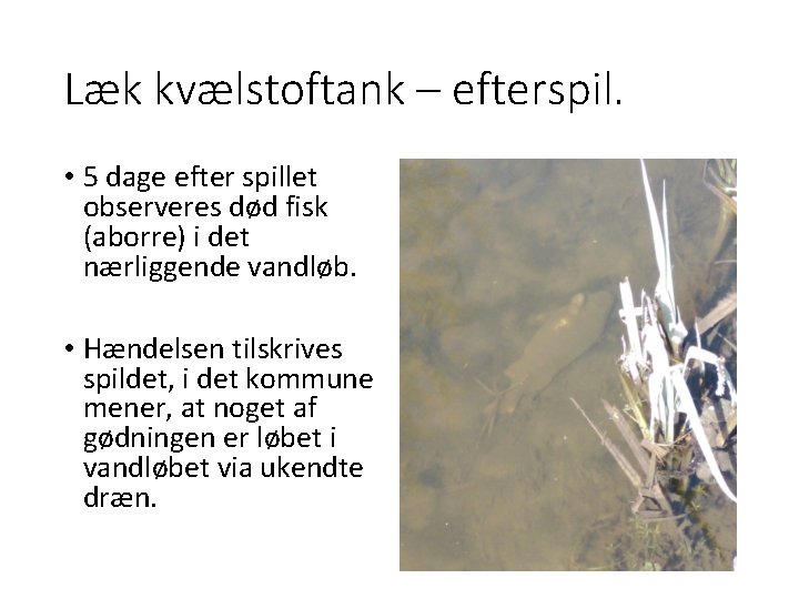 Læk kvælstoftank – efterspil. • 5 dage efter spillet observeres død fisk (aborre) i