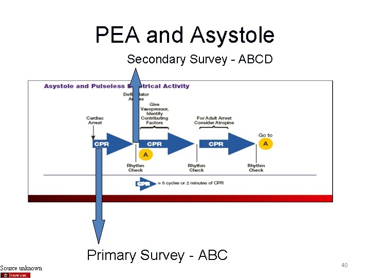 PEA and Asystole Secondary Survey - ABCD Primary Survey - ABC Source unknown 40