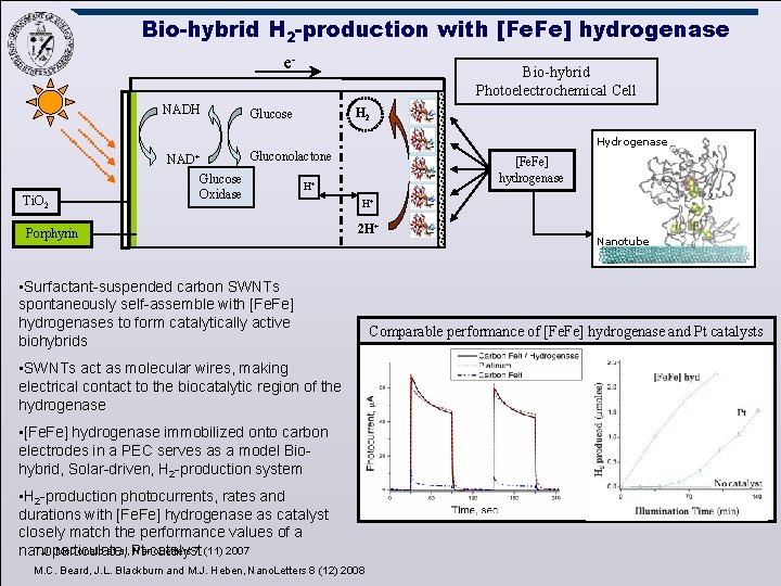 Bio-hybrid H 2 -production with [Fe. Fe] hydrogenase e. NADH Bio-hybrid Photoelectrochemical Cell H