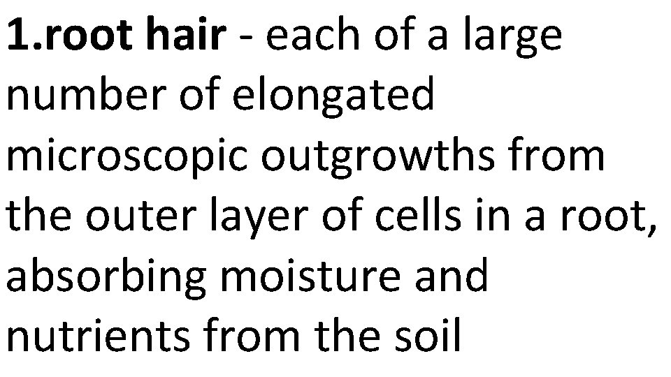 1. root hair - each of a large number of elongated microscopic outgrowths from