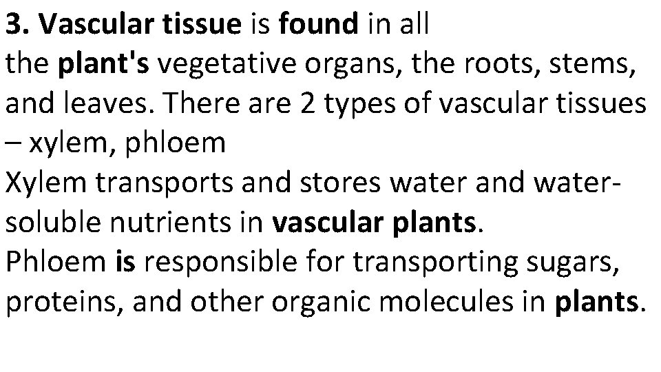 3. Vascular tissue is found in all the plant's vegetative organs, the roots, stems,