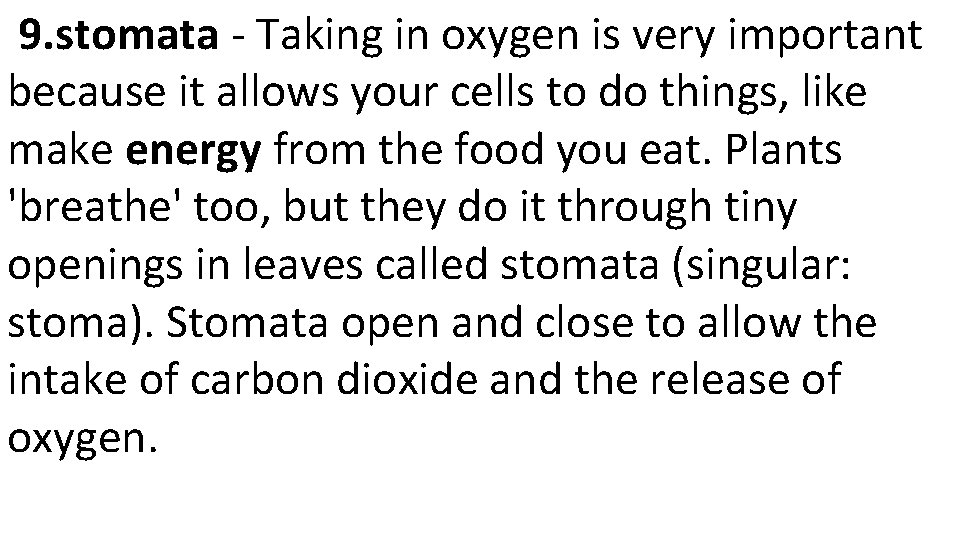  9. stomata - Taking in oxygen is very important because it allows your