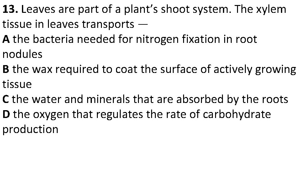 13. Leaves are part of a plant’s shoot system. The xylem tissue in leaves