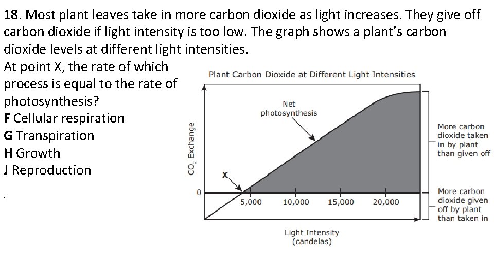 18. Most plant leaves take in more carbon dioxide as light increases. They give
