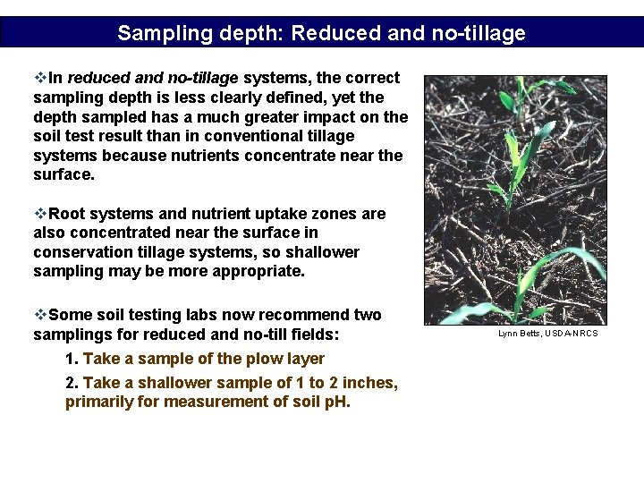 Sampling depth: Reduced and no-tillage v. In reduced and no-tillage systems, the correct sampling