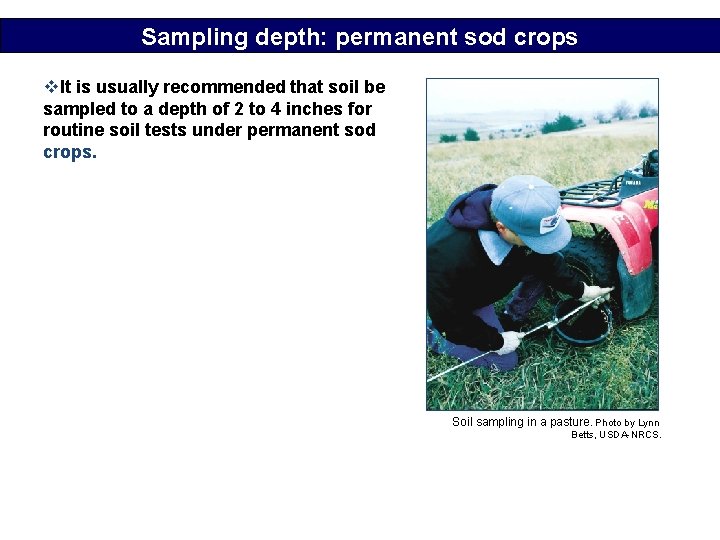Sampling depth: permanent sod crops v. It is usually recommended that soil be sampled
