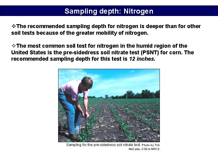 Sampling depth: Nitrogen v. The recommended sampling depth for nitrogen is deeper than for