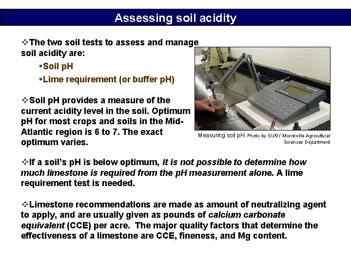 Assessing soil acidity v. The two soil tests to assess and manage soil acidity