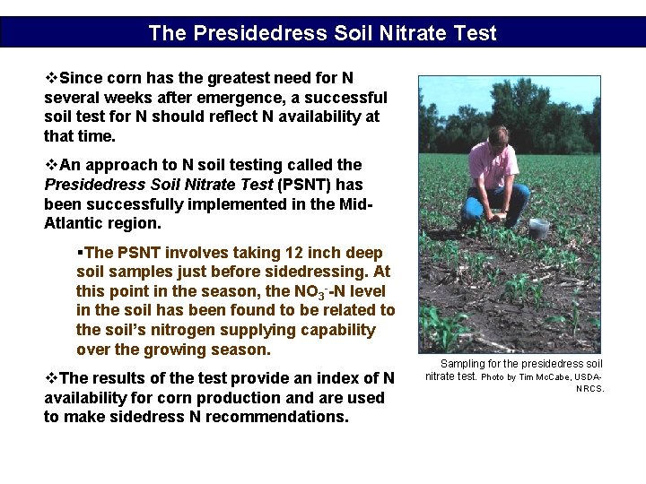 The Presidedress Soil Nitrate Test v. Since corn has the greatest need for N