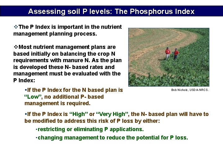 Assessing soil P levels: The Phosphorus Index v. The P Index is important in