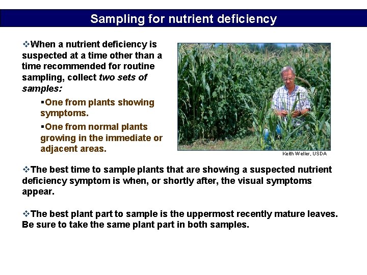 Sampling for nutrient deficiency v. When a nutrient deficiency is suspected at a time
