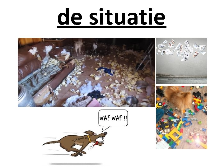 de situatie 