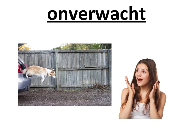  onverwacht 