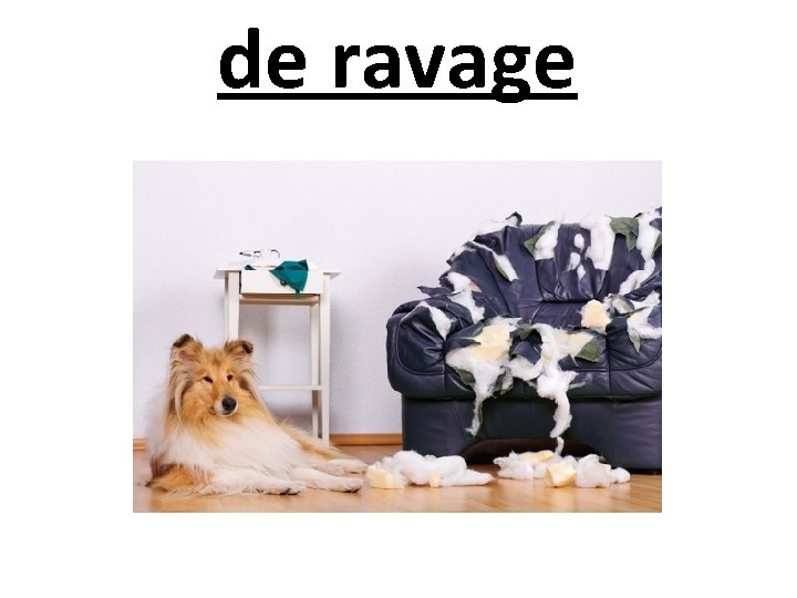 de ravage 