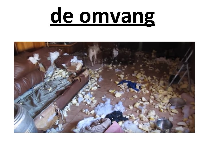 de omvang 